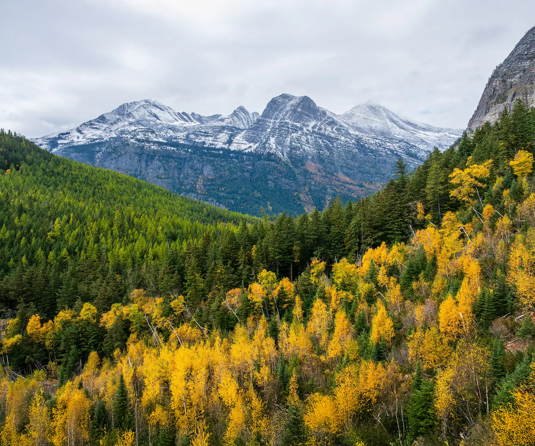 Fall-Special_Newsletter-Hero